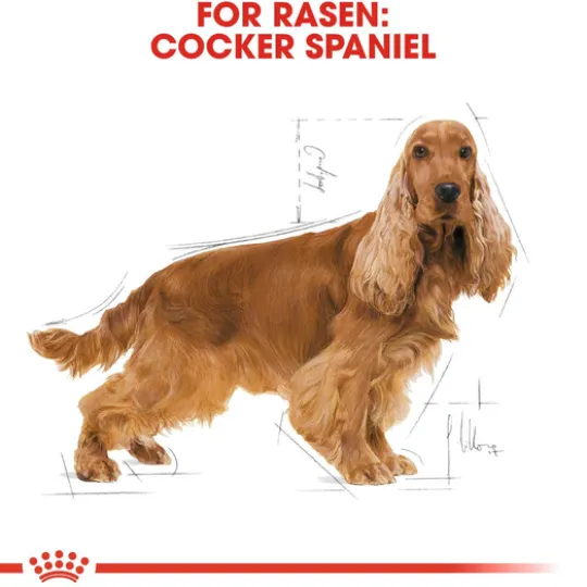 Royal Canin Cocker Adult Torrfoder för Hund 12 kg