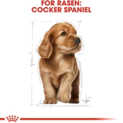 Royal Canin Cocker Puppy Torrfoder för Hundvalp 3 kg