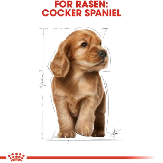 Royal Canin Cocker Puppy Torrfoder för Hundvalp 3 kg