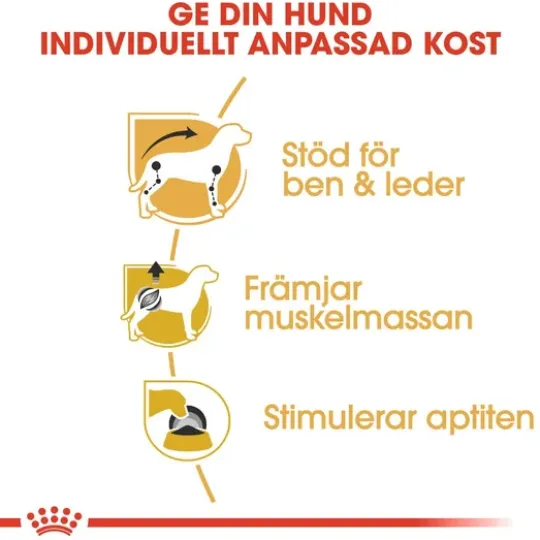 Royal Canin Dachshund Adult Loaf Våtfoder för Hund 1,02 kg