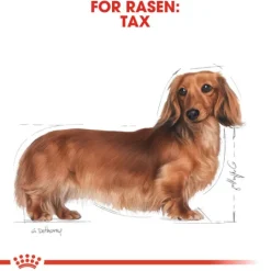 Royal Canin Dachshund Adult Loaf Våtfoder för Hund 1,02 kg