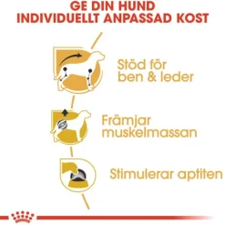 Royal Canin Dachshund Adult Loaf Våtfoder för Hund 1,02 kg