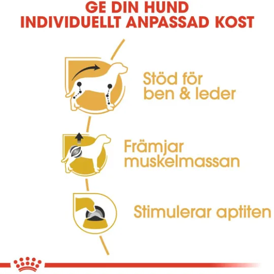Royal Canin Dachshund Adult Loaf Våtfoder för Hund 1,02 kg
