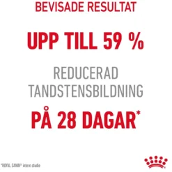 Royal Canin Dental Care Adult Torrfoder för Katt 1,5 kg