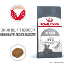 Royal Canin Dental Care Adult Torrfoder för Katt 3,5 kg