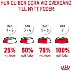 Royal Canin Dental Care Adult Torrfoder för Katt 3,5 kg