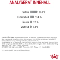 Royal Canin Dental Care Adult Torrfoder för Katt 3,5 kg