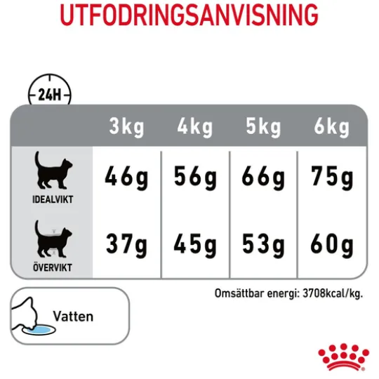 Royal Canin Dental Care Adult Torrfoder för Katt 8 kg