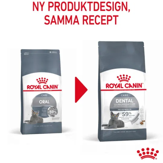 Royal Canin Dental Care Adult Torrfoder för Katt 8 kg