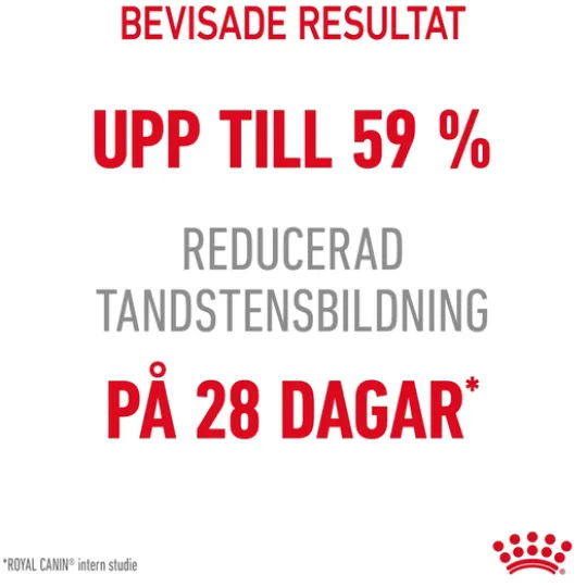 Royal Canin Dental Care Adult Torrfoder för Katt 8 kg