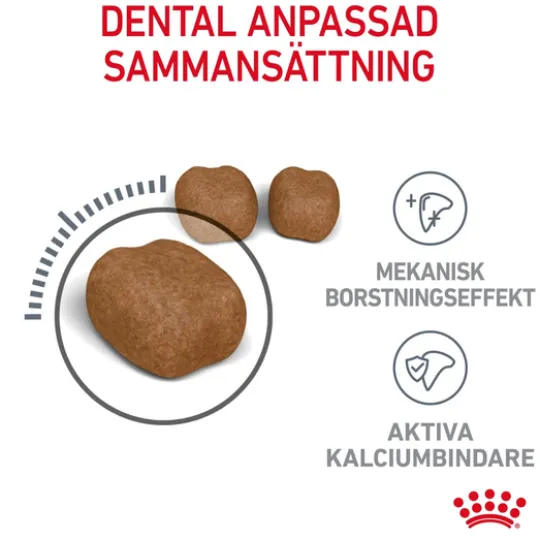 Royal Canin Dental Care Adult Torrfoder för Katt 8 kg