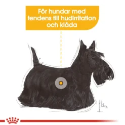 Royal Canin Dermacomfort Mini Adult Torrfoder för Hund 3 kg