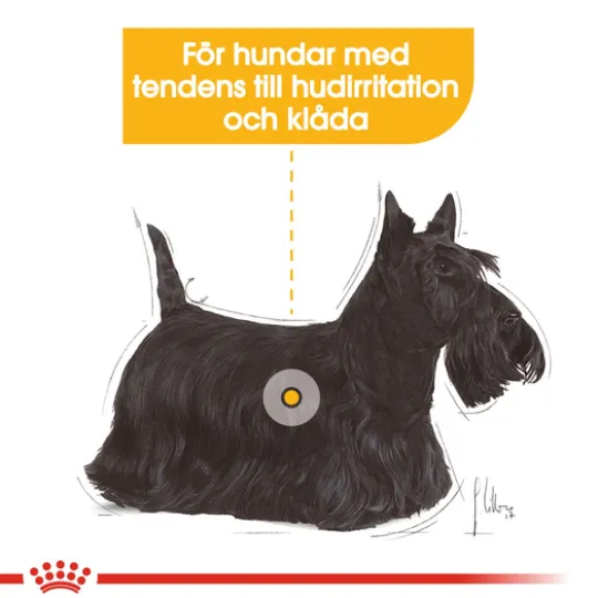 Royal Canin Dermacomfort Mini Adult Torrfoder för Hund 3 kg