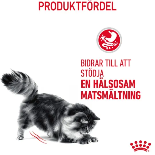 Royal Canin Digestive Care Adult Torrfoder för Katt 2 kg