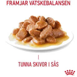 Royal Canin Digestive Care Gravy Adult Våtfoder för Katt 1,02 kg