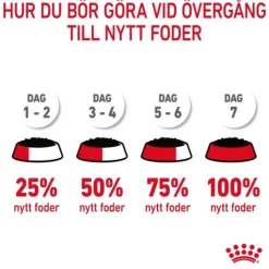Royal Canin Digestive Care Gravy Adult Våtfoder för Katt 1,02 kg