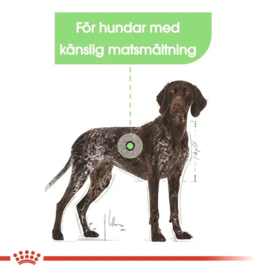 Royal Canin Digestive Care Maxi Adult Torrfoder för Hund 12 kg