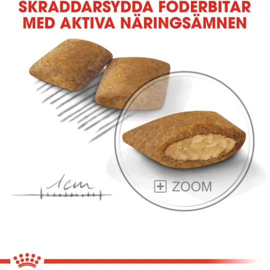 Royal Canin Exigent Mini Adult Torrfoder för Hund 3 kg