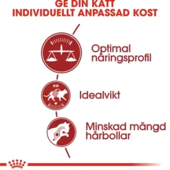 Royal Canin Fit Adult Torrfoder för Katt 10 kg