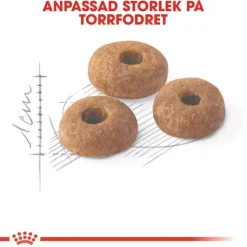 Royal Canin Fit Adult Torrfoder för Katt 10 kg