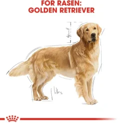 Royal Canin Golden Retriever Adult Torrfoder för Hund 15 kg