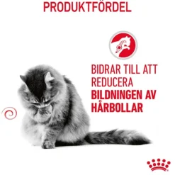 Royal Canin Hairball Care Adult Torrfoder för Katt 2 kg