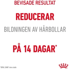 Royal Canin Hairball Care Adult Torrfoder för Katt 4 kg