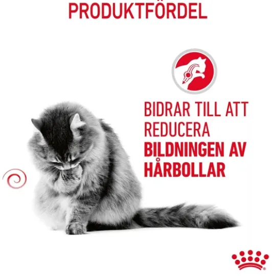Royal Canin Hairball Care Adult Torrfoder för Katt 4 kg