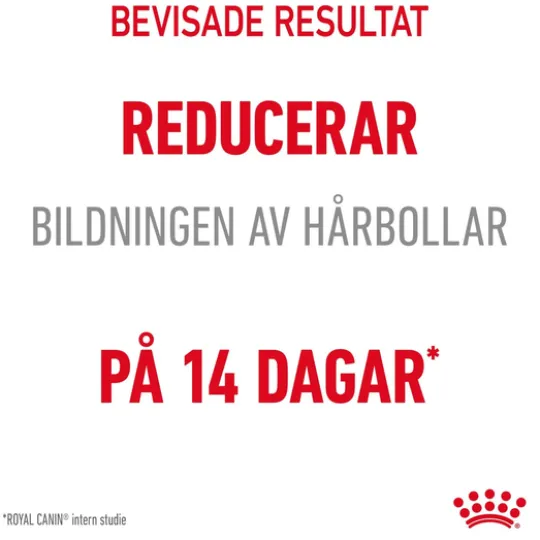 Royal Canin Hairball Care Adult Torrfoder för Katt 10 kg