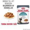 Royal Canin Hairball Care Gravy Adult Våtfoder för Katt 1,02 kg