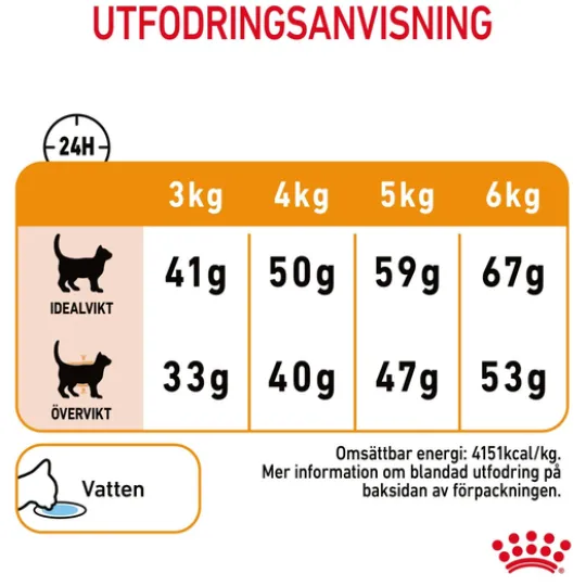 Royal Canin Hair & Skin Care Adult Torrfoder för Katt 2 kg