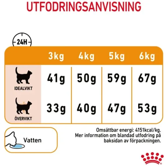 Royal Canin Hair & Skin Care Adult Torrfoder för Katt 2 kg