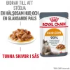 Royal Canin Hair & Skin Care Gravy Adult Våtfoder för Katt 1,02 kg