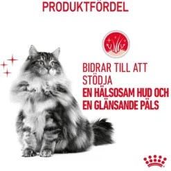 Royal Canin Hair & Skin Care Gravy Adult Våtfoder för Katt 1,02 kg