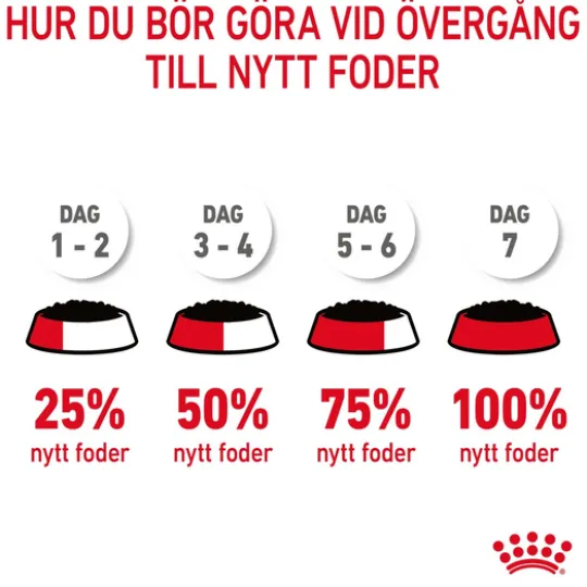 Royal Canin Hair & Skin Care Gravy Adult Våtfoder för Katt 1,02 kg