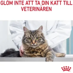 Royal Canin Hair & Skin Care Gravy Adult Våtfoder för Katt 1,02 kg