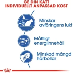 Royal Canin Indoor Adult Torrfoder för Katt 4 kg