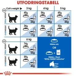 Royal Canin Indoor Adult Torrfoder för Katt 10 kg