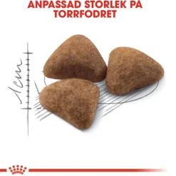 Royal Canin Indoor Adult Torrfoder för Katt 10 kg
