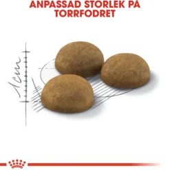 Royal Canin Indoor Long Hair Adult Torrfoder för Katt 10 kg