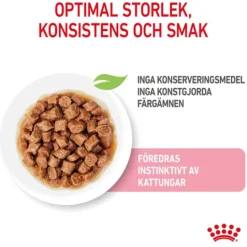 Royal Canin Kitten Gravy Våtfoder för Kattunge 1,02 kg
