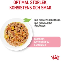 Royal Canin Kitten Jelly Våtfoder för Kattunge 1,02 kg