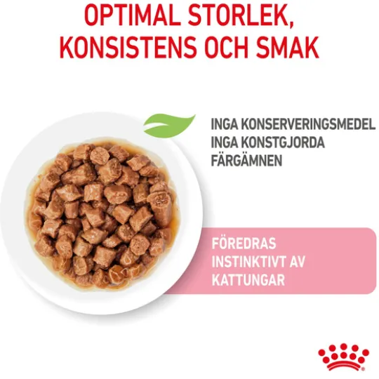 Royal Canin Kitten Sterilised Gravy Våtfoder för Kattunge 1,02 kg