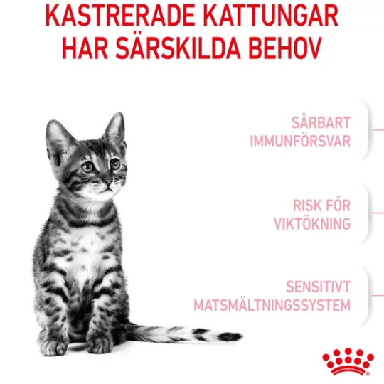 Royal Canin Kitten Sterilised Torrfoder för Kattunge 2 kg