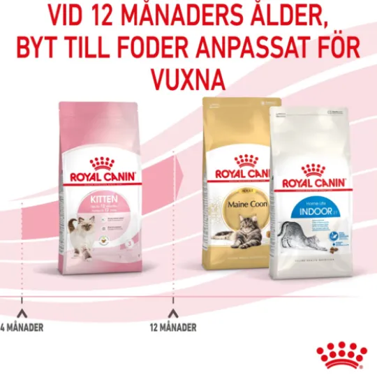 Royal Canin Kitten Torrfoder för Kattunge 2 kg
