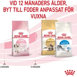 Royal Canin Kitten Torrfoder för Kattunge 4 kg
