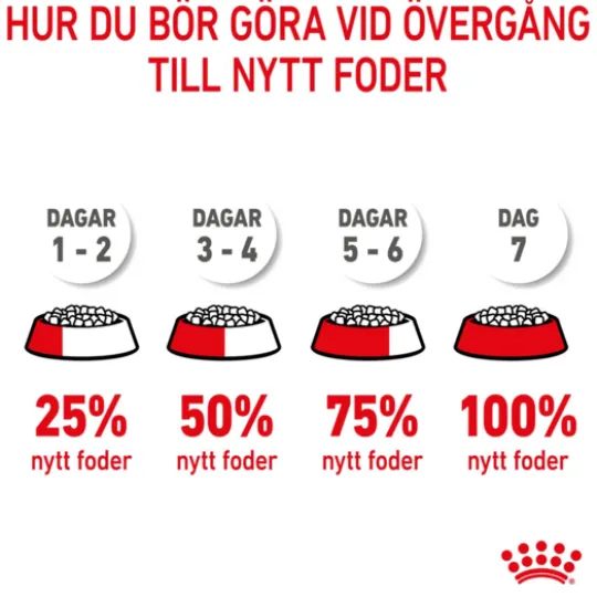 Royal Canin Kitten Torrfoder för Kattunge 4 kg