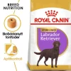 Royal Canin Labrador Retriever Sterilised Adult Torrfoder för Hund 12 kg