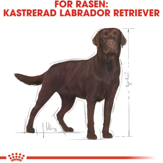 Royal Canin Labrador Retriever Sterilised Adult Torrfoder för Hund 12 kg