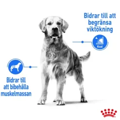 Royal Canin Light Weight Care Maxi Adult Torrfoder för Hund 12 kg